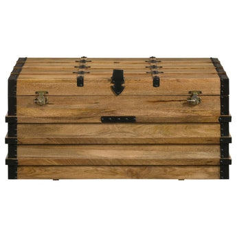 Simmons Rustic Storage Trunk