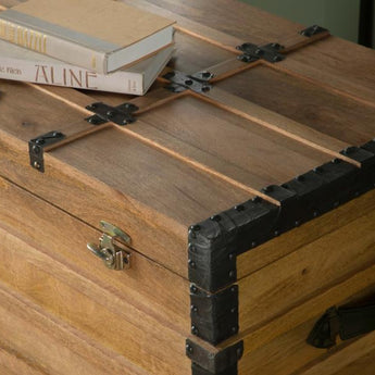 Simmons Rustic Storage Trunk